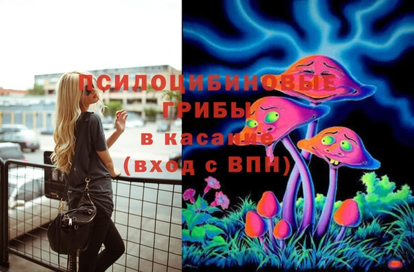 крисы Богданович