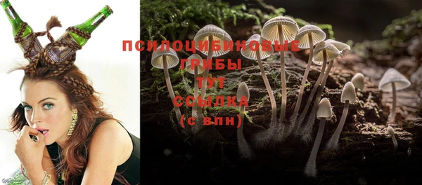 крисы Иннополис