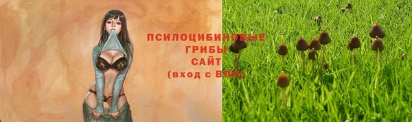метадон Инсар